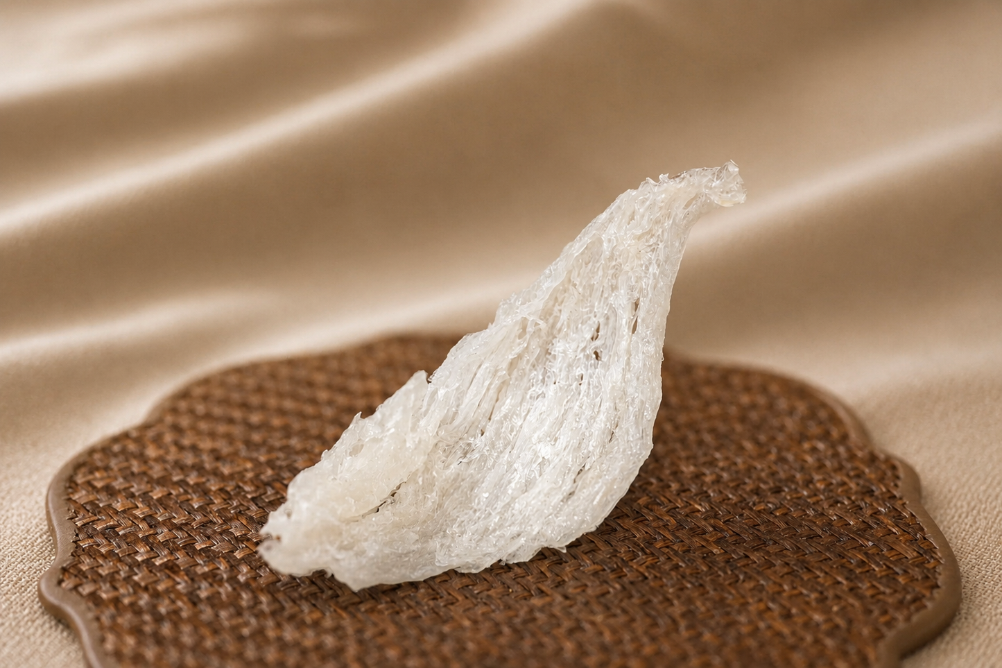 盞条 Zhan Tiao